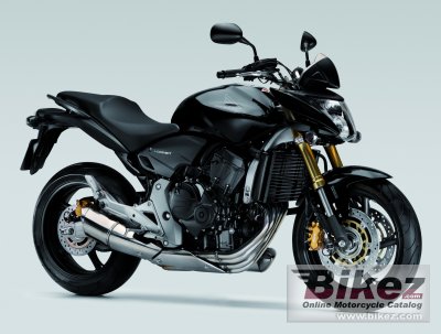 2008 Honda CB 600 F Hornet photo